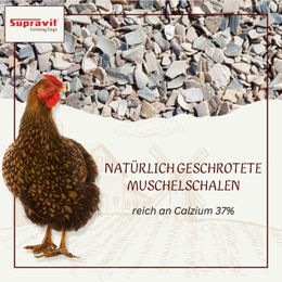 Supravit Hühnergrit Geflügelgrit Muschelkalk Mineralfutter für Huhn Ente Wachtel 4 kg – Bild 1 von 9