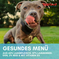 Produktbild von Supravit Hund Nassfutter Lamm mit Reis getreidefrei 6 x 820g - 6 x 820 g
