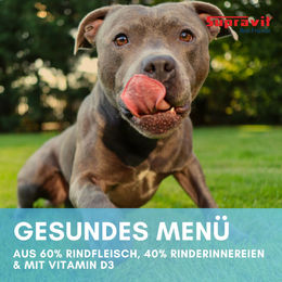 Supravit Hundefutter Rind Sensitive Dose 12 x 410g ohne Farb- und Aromastoffe sowie Konservierungsstoffe - 12 x 410 g – Bild 1 von 3