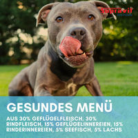 Produktbild von Supravit Hundefutter Sensitive Fisch 6 x 820g Dose - 6 x 820 g
