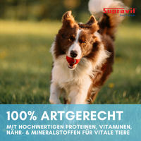 Produktbild von Supravit Hundefutter Strauß Sensitive Dose 12 x 410g ohne Farb- und Aromastoffe sowie Konservierungsstoffe - 12 x 410 g