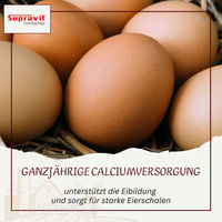 Produktbild von Supravit Kalkgrit Mineralfutter für Hühner, Wachteln und Enten mit hohem Calciumanteil 2500g
