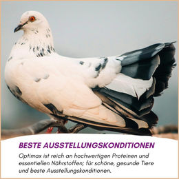 Supravit Kondition- und Aufzuchtfutter für Vögel Eifutter 5 kg Eimer - 5 kg – Bild 1 von 9