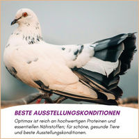 Produktbild von Supravit Kondition- und Aufzuchtfutter für Vögel Eifutter 5 kg Eimer - 5 kg