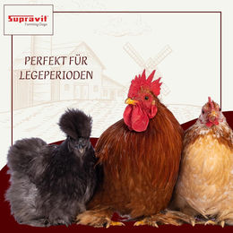 Supravit Legemehl für Hühner gentechnikfrei 2,5 kg – Bild 1 von 6