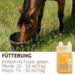 Supravit Leinöl für Pferde und Hunde 1 Liter kaltgepresstes Leinsamenöl zur Unterstützung von Haut und Fell - 1 l – Bild 1 von 6