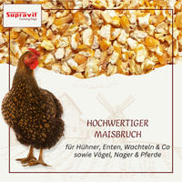 Produktbild von Supravit Maisbruch Gelb als Einzelfutter oder Mischfutter für Huhn Taube Kaninchen und Pferd 1000g