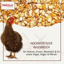 Supravit Maisbruch getrockneter geschroteter Mais als Einzelfutter oder Mischfutter für Hühner Kaninchen und Pferde 25 kg – Bild 1 von 4