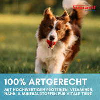Produktbild von Supravit Premium Hundefutter Nass Rinderpansen Getreidefrei mit hohem Fleischanteil 6 x 820g - 6 x 820 g