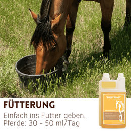Supravit Reiskeimöl für Pferde 1000ml kaltgepresstes Ergänzungsfutter – Bild 1 von 6