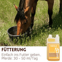 Produktbild von Supravit Reiskeimöl für Pferde 1000ml kaltgepresstes Ergänzungsfutter