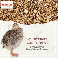 Produktbild von Supravit Wachtelfutter Körnermischung als Hauptfutter für Wachteln und Hühner