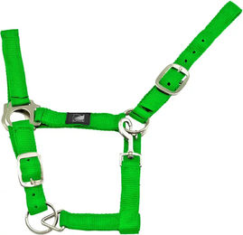 Produktbild von Supreme Pferdehalfter aus Nylon doppelt verstellbar Grün Full