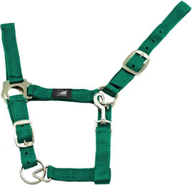 Produktbild von Supreme Pferdehalfter aus Nylon doppelt verstellbar Grün XFull
