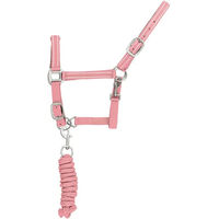 Produktbild von Supreme Reflektierendes Nylonhalfter und Führstrick für Pferde in Rosa