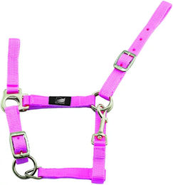 Supreme Verstellbares Nylon Halfter für Fohlen und Shetty in Rosa mit Karabinerhaken – Bild 1 von 2