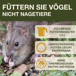 Swissinno Davos SMART Birds Vogelfutterhaus zum Aufhängen aus Kunststoff in Grün mit Auffangschale und nagersicherer Futterstation - 1300 ml – Bild 1 von 8