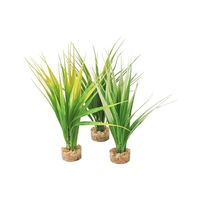 Produktbild von Sydeco Oasis Baby Aquarienpflanze Grün 16 cm für Fische
