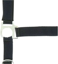 Symantec Norton Doublé Pferdehalfter aus Nylon mit Neopren in Blau-Silber für Warmblut – Bild 1 von 3