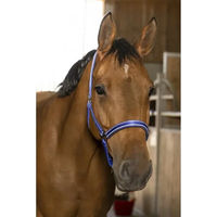 Produktbild von Symantec Norton Reflective Halfter für Ponys aus Neopren in Blau