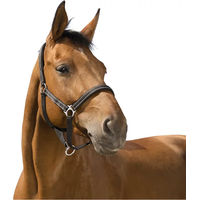 Produktbild von Symantec Norton Reflective Halfter für Ponys aus Neopren in Schwarz