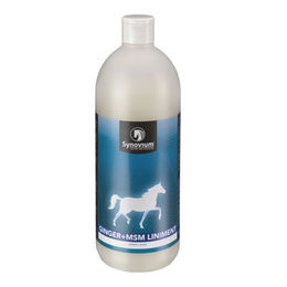 Produktbild von Synovium Ginger-MSM Liniment 1l