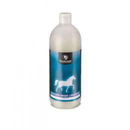 Produktbild von Synovium Ginger + MSM Liniment 500ml