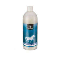 Produktbild von Synovium Ginger + MSM Liniment 500ml