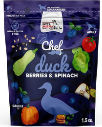 SYTA MICHA Hundefutter Ente Blaubeeren und Spinat getreidefrei Monoprotein für Erwachsene 15kg – Bild 1 von 2