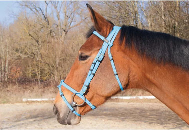 T de T Biotack Trensenzaum für Vollblut in Himmelblau aus Kunstleder – Bild 1 von 2