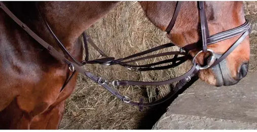 Produktbild von T de T Elastisches Howlett Zaumzeug für Warmblut Pferde in Dunkelbraun mit Edelstahl