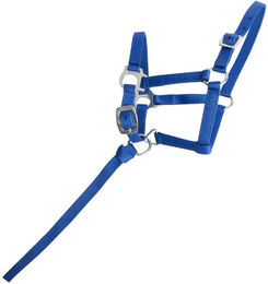 Produktbild von T de T Fohlenhalfter Blau