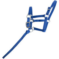 Produktbild von T de T Fohlenhalfter Blau