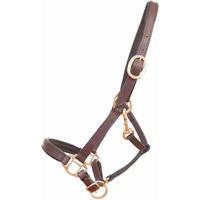 Produktbild von T de T Fohlenhalfter und Shetty Halfter aus Leder in Braun