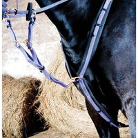 Produktbild von T de T Jagdhalsband für Pferde