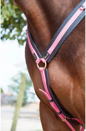 Produktbild von T de T Jagdhalsband für Pferde aus Biothane in Lila oder Rosa