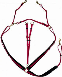 Produktbild von T de T Jagdhalsband für Pferde in Lila oder Rot
