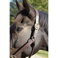 Produktbild von T de T Leder Halfter für Ponys in Braun