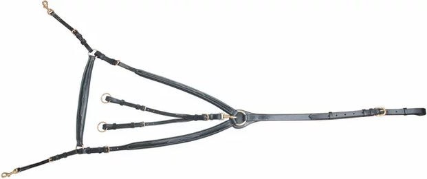 Produktbild von T de T Leder Vorderzeug für Pony in Schwarz