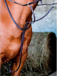 Produktbild von T de T Martingal mit Ringen aus Leder für Warmblut in Dunkelhavana