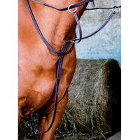 Produktbild von T de T Martingal mit Ringen aus Leder für Warmblut in Dunkelhavana