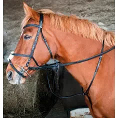 T de T Martingal mit Ringen aus Leder in Schwarz für Warmblut – Bild 1 von 1