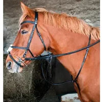 Produktbild von T de T Martingal mit Ringen aus Leder in Schwarz für Warmblut