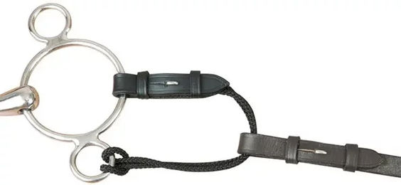Produktbild von T de T Pelhamriemen aus Leder in Schwarz