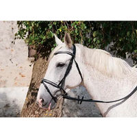 Produktbild von T de T Pissarro Trensenzaum aus Leder für Warmblut in Schwarz