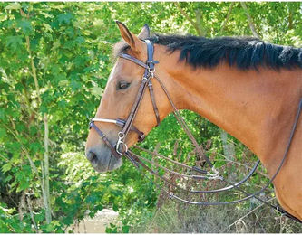 T de T Pony aus Leder in Dunkelhavana Braun – Bild 1 von 2