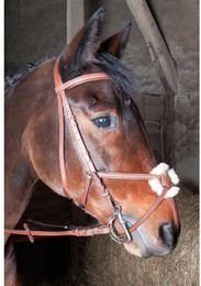 Produktbild von T de T Sisley Zaumzeug Kreuz-Reiten aus Leder in Braun für Vollblut-Pferde
