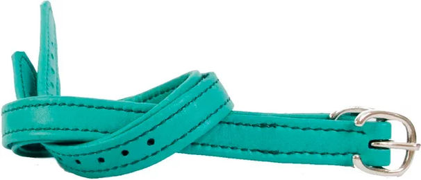 Produktbild von T de T Sporenriemen aus Leder in Grün oder Türkis
