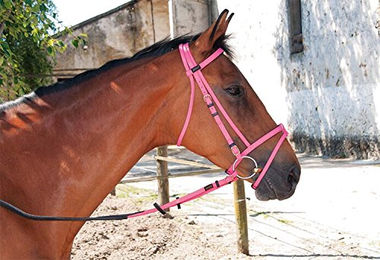 T de T Trensenzaum Biotack aus Kunstleder in Rose für Vollblut Pferde – Bild 1 von 2