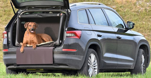 Produktbild von TAMI Auto & Home aufblasbare Hundebox mit Airbagfunktion braun L